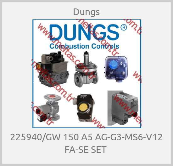 Dungs - 225940/GW 150 A5 AG-G3-MS6-V12 FA-SE SET 
