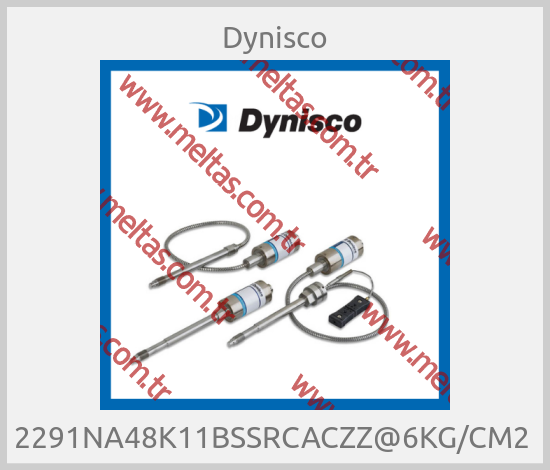 Dynisco - 2291NA48K11BSSRCACZZ@6KG/CM2 
