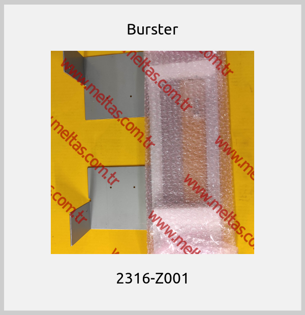 Burster-2316-Z001