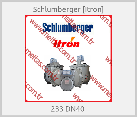 Schlumberger [Itron] - 233 DN40 