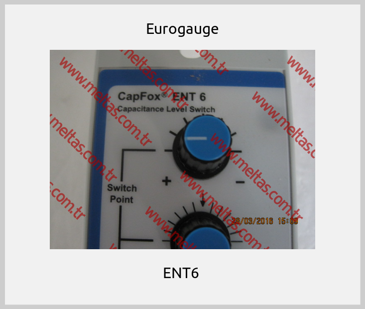 Eurogauge - ENT6 