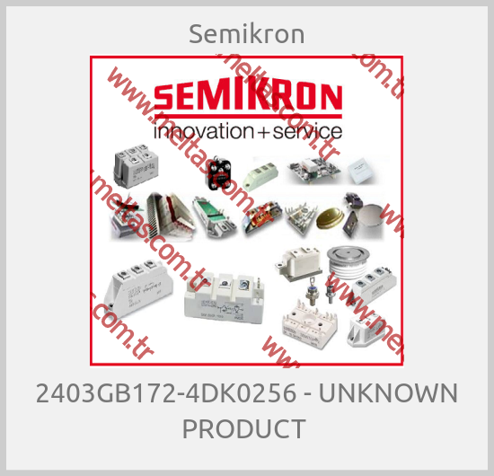 Semikron - 2403GB172-4DK0256 - UNKNOWN PRODUCT 