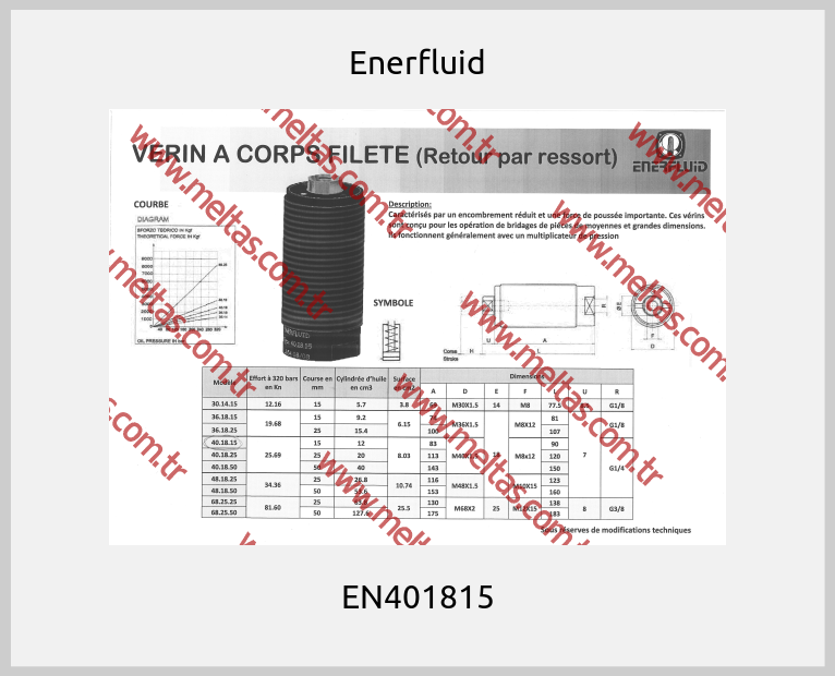 Enerfluid - EN401815