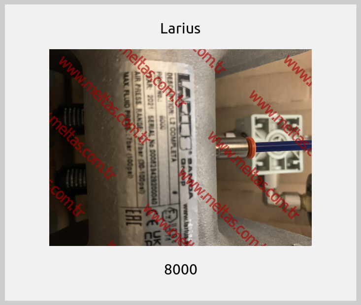Larius - 8000