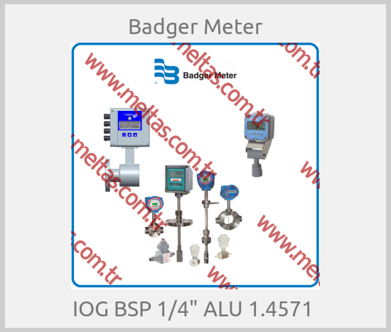 Badger Meter - IOG BSP 1/4" ALU 1.4571 